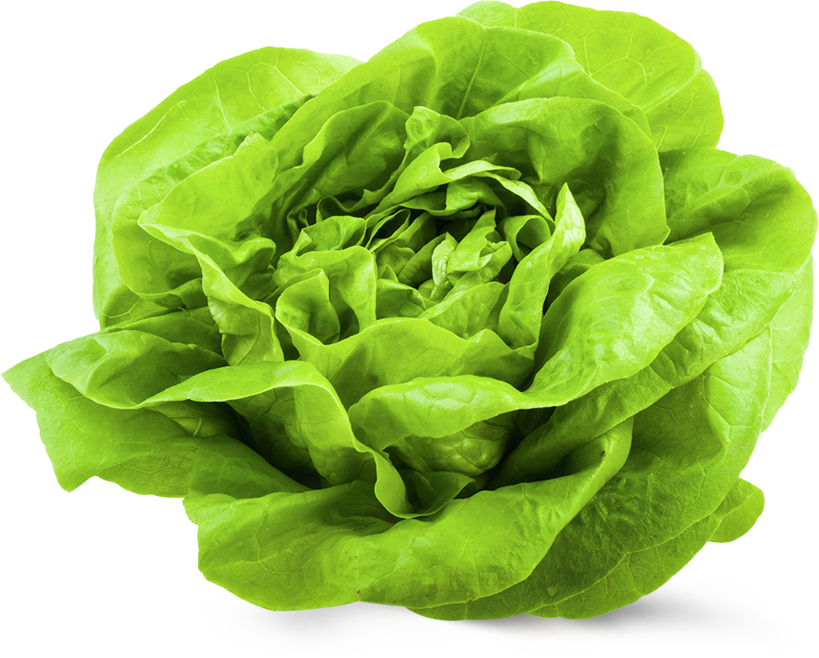 pgmk-salata-puterica